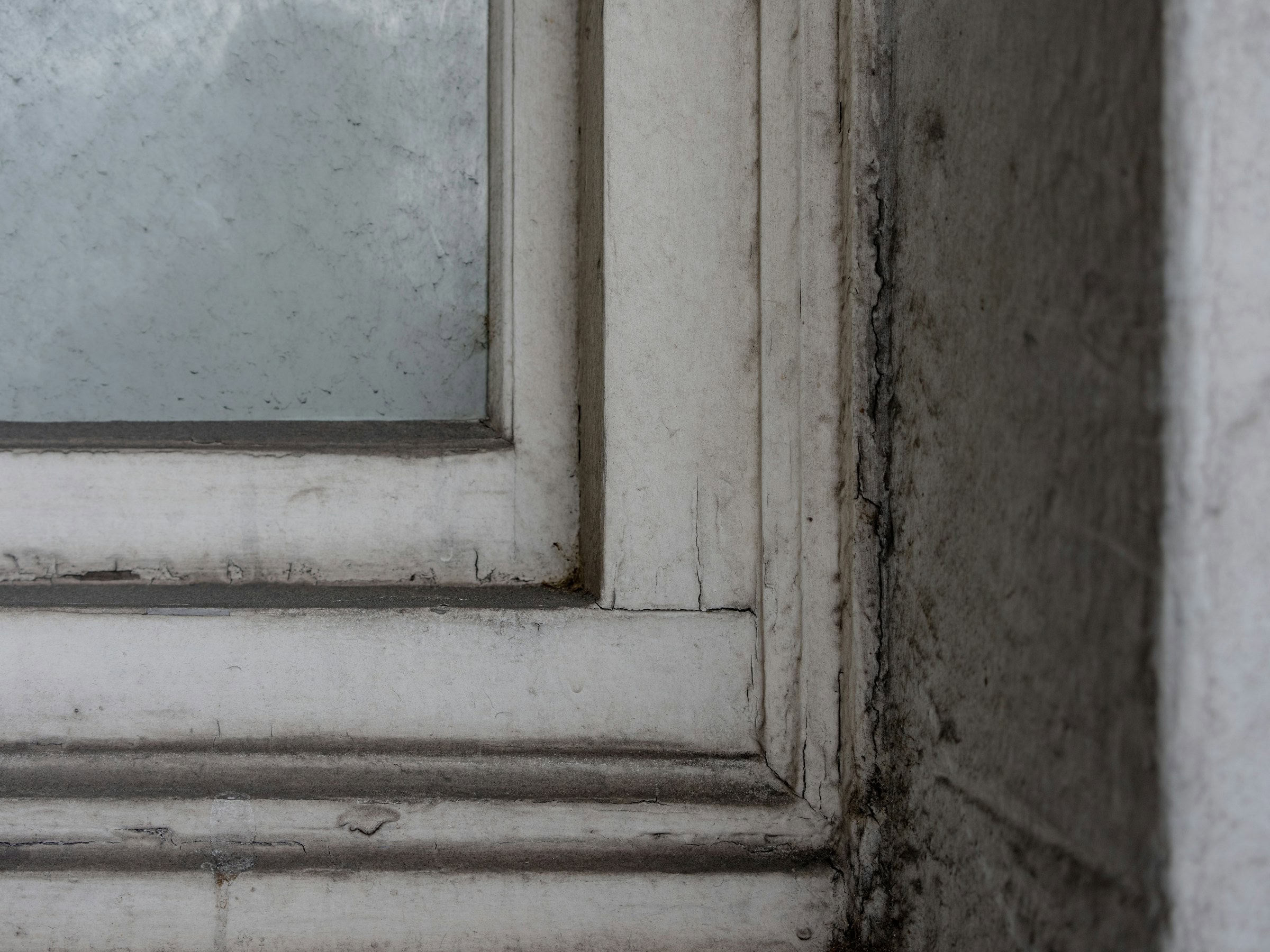 black mold on window
