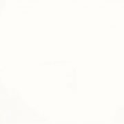 White (Matte or Glossy)