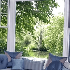 Bay Window