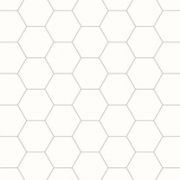 Hexagonal 6x6.9"