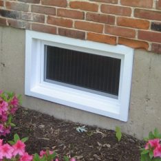 Basement Window